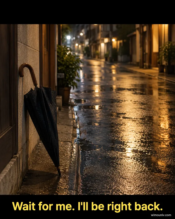 Movie subtitle with black letterbox bars on a photo of an umbrella left against a wall in a rainy alley: “Wait for me. I'll be right back.”
